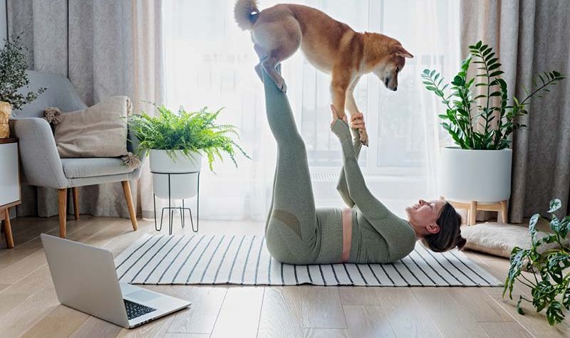 potted-plants-pregnancy-furry-friends-morning-yoga-using-laptop-dog-training-perfect-pets_t20_JJL769 potted-plants-pregnancy-furry-friends-morning-yoga-using-laptop-dog-training-perfect-pets_t20_JJL769